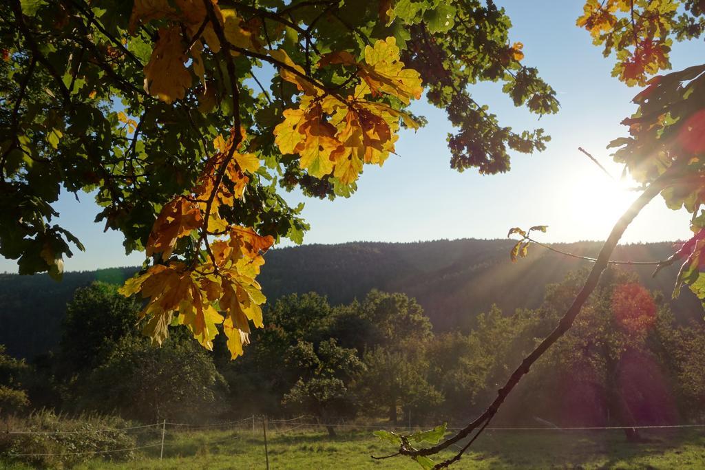 Naturhotel Ruegers Forstgut Mespelbrunn Kültér fotó
